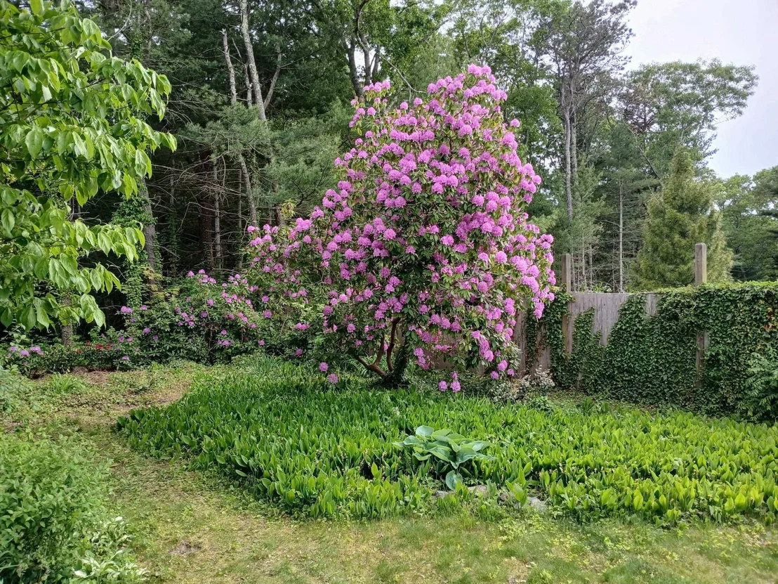 Photo of 43 Poponessett