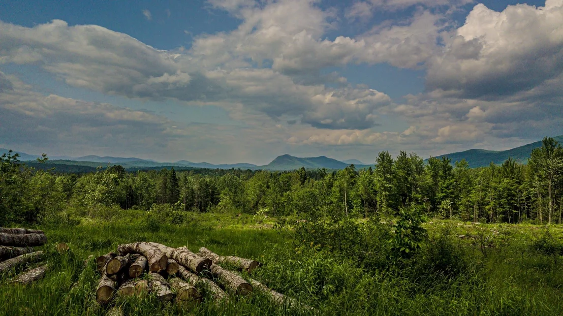 Photo of 53 Pleasant Valley