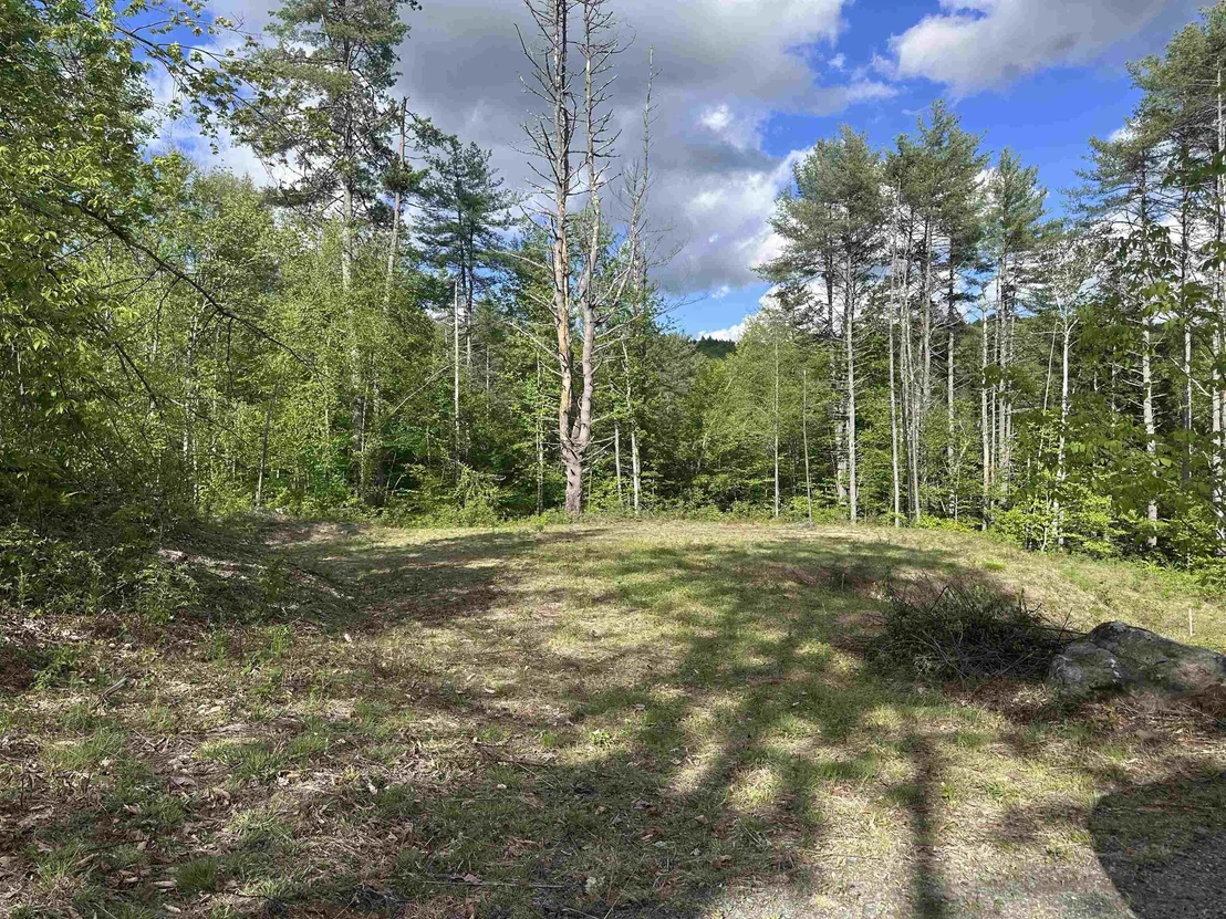 Photo of 14 Sugar Lot
