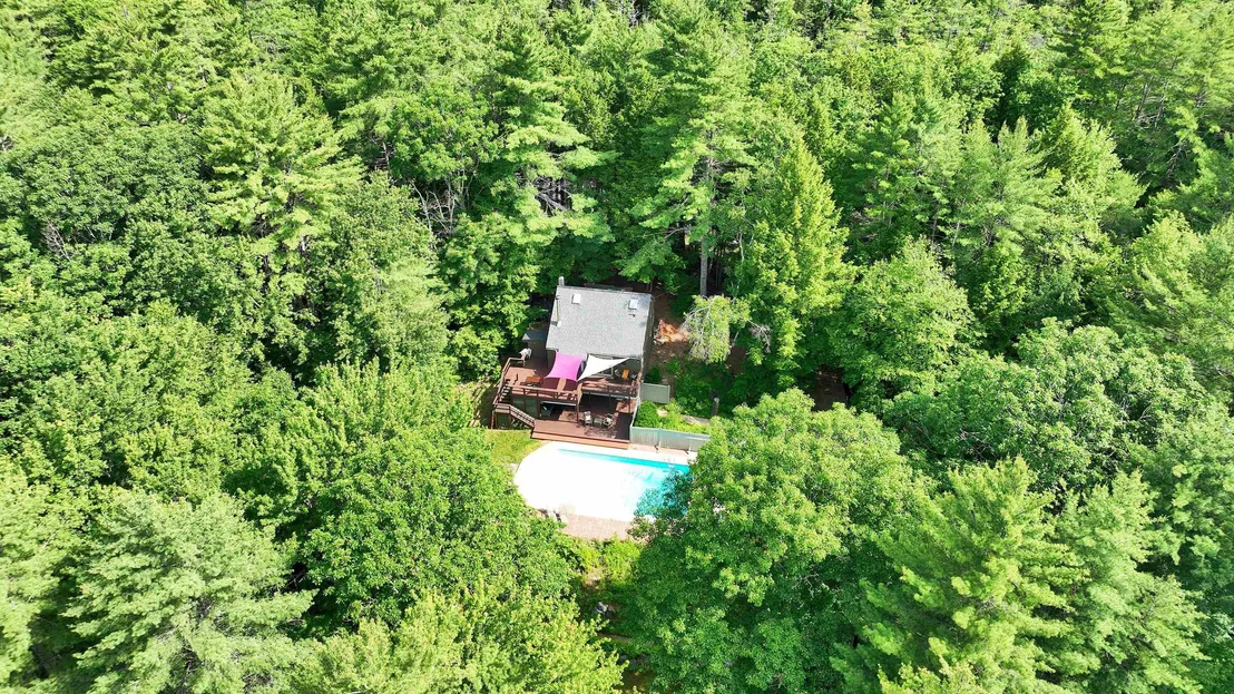 Photo of 261 Forest