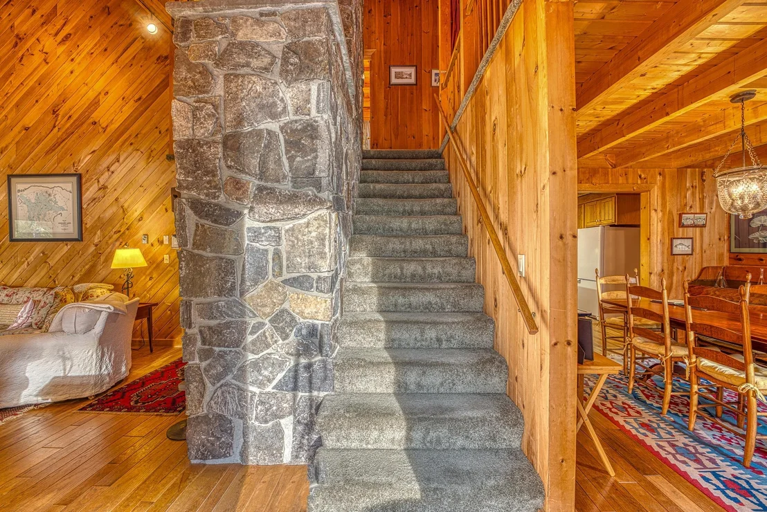 Photo of 11 Squamasee