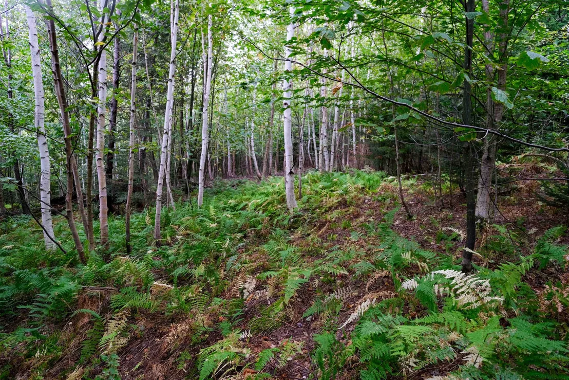 Photo of 00 Evergreen Acres