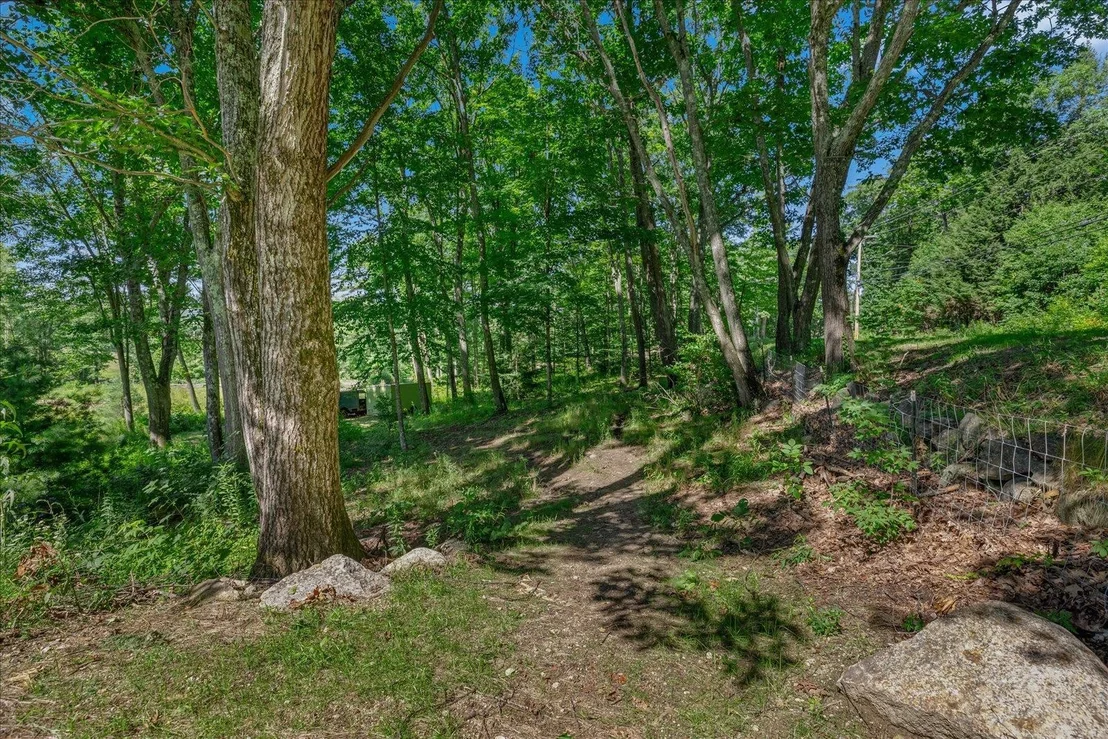 Photo of 73 Forest