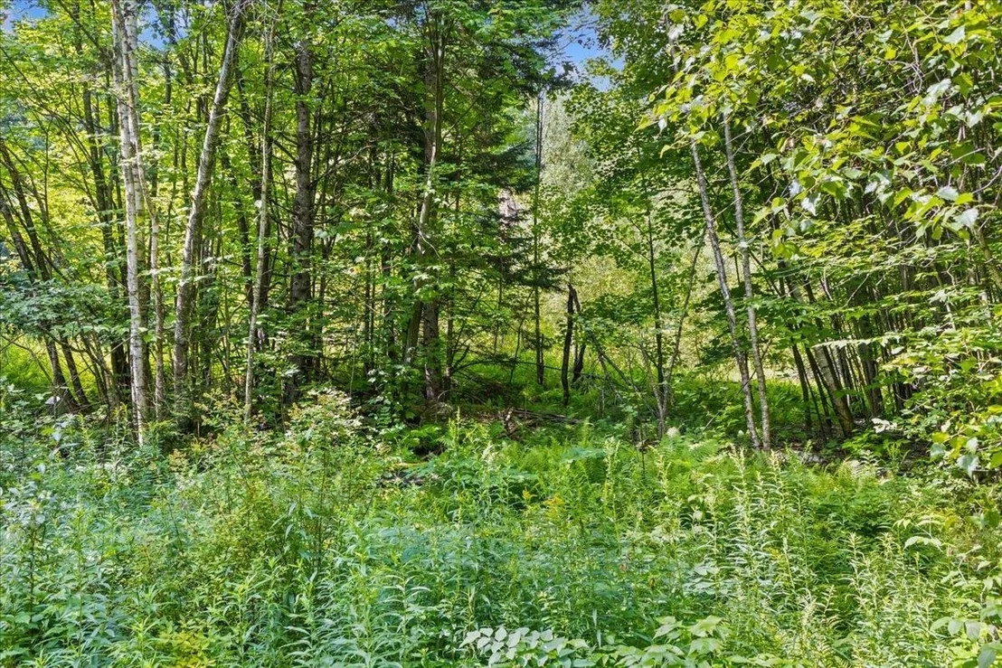 Photo of 0 Mountain View