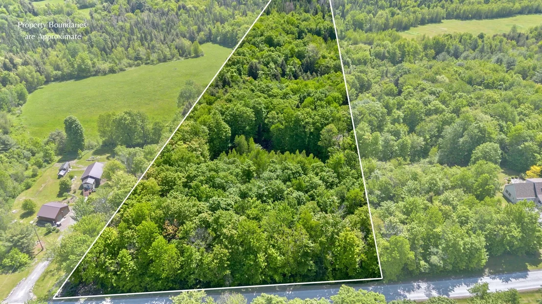 Photo of Lot 2 Pion