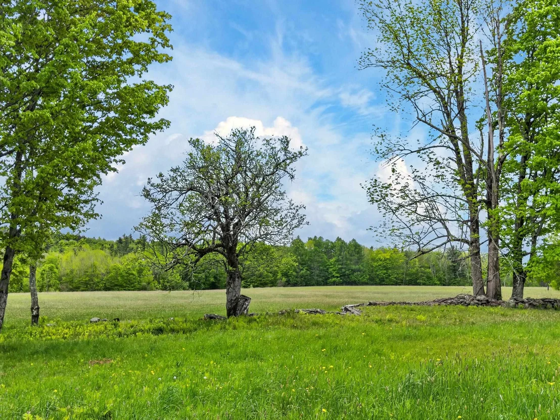 Photo of Lot 0 Saddada