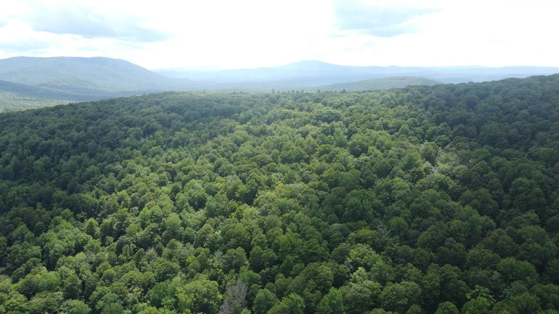 Photo of 0 Markham Mountain