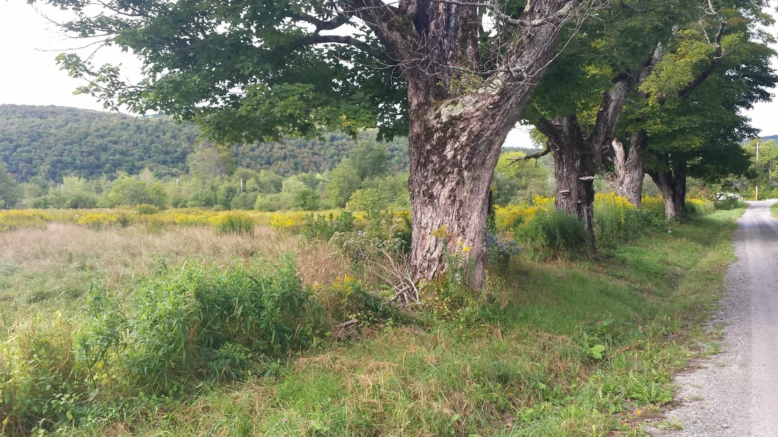 Photo of 0 Old County