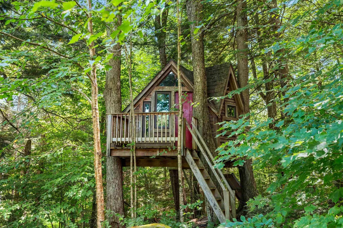 Photo of 111 Pine Tree