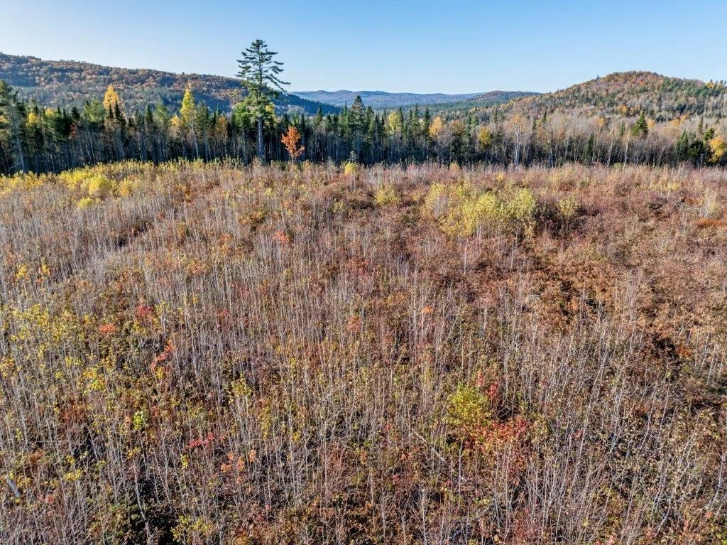 Photo of Lot 4 McIntyre
