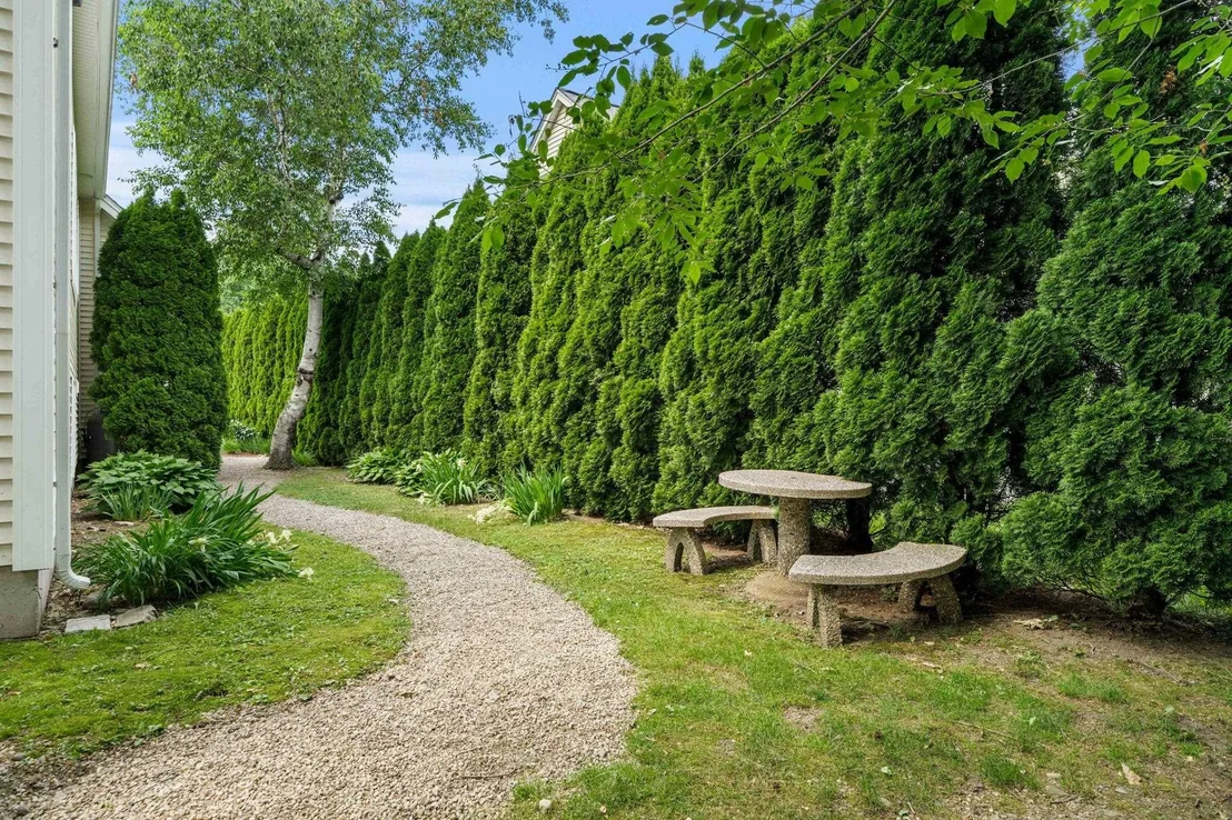 Photo of 20 Huckleberry