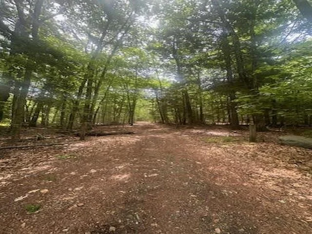 Photo of 115 Deer Path