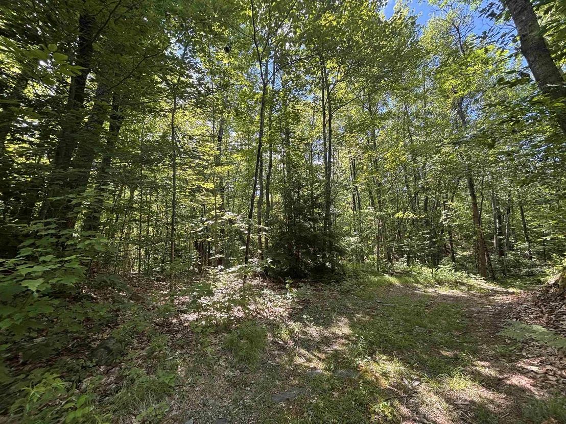 Photo of 00 Windfall