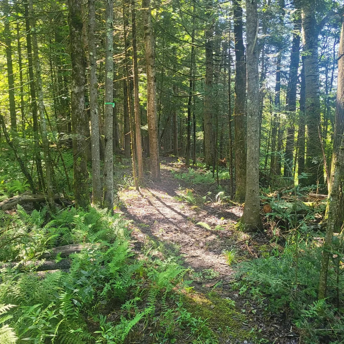 Photo of 102 River Bend Meadow