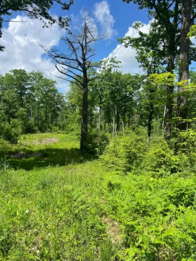 Photo of Unit LOT7 at 00 Canaan