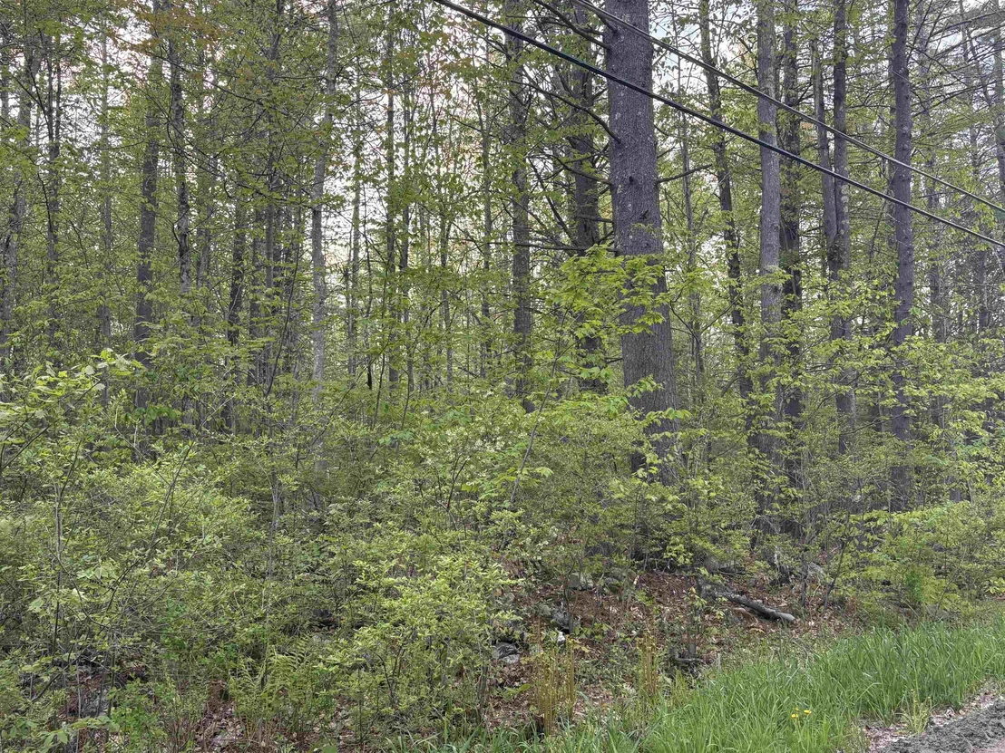 Photo of Lot 80 Currier