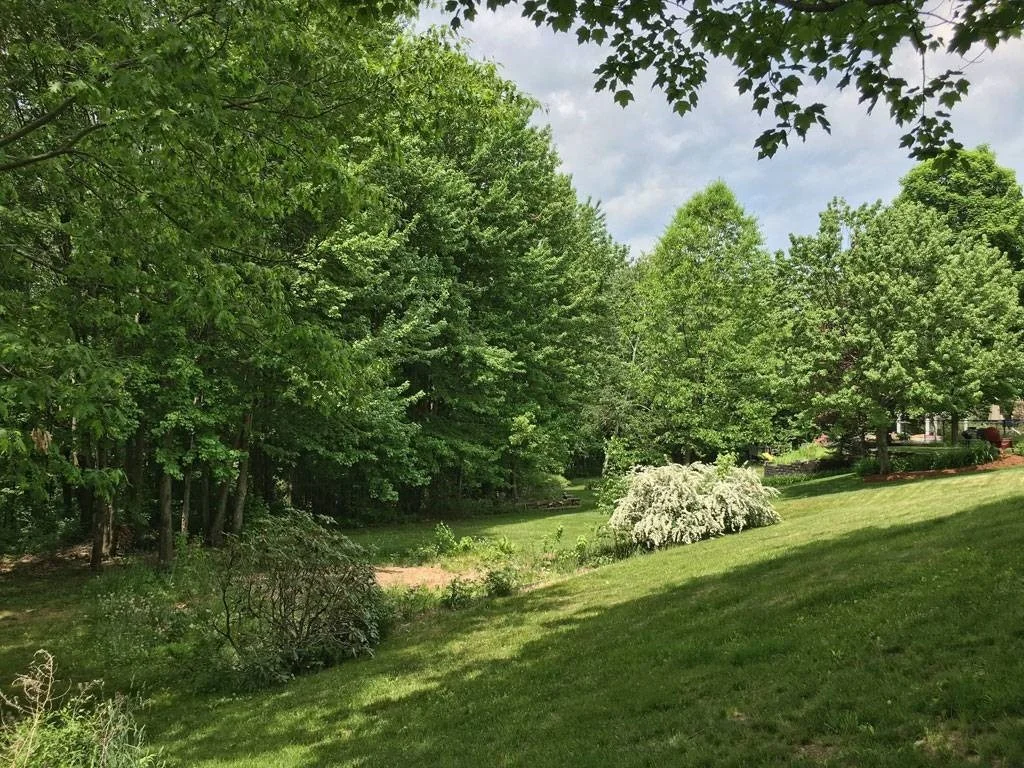 Photo of 84 Maplewood