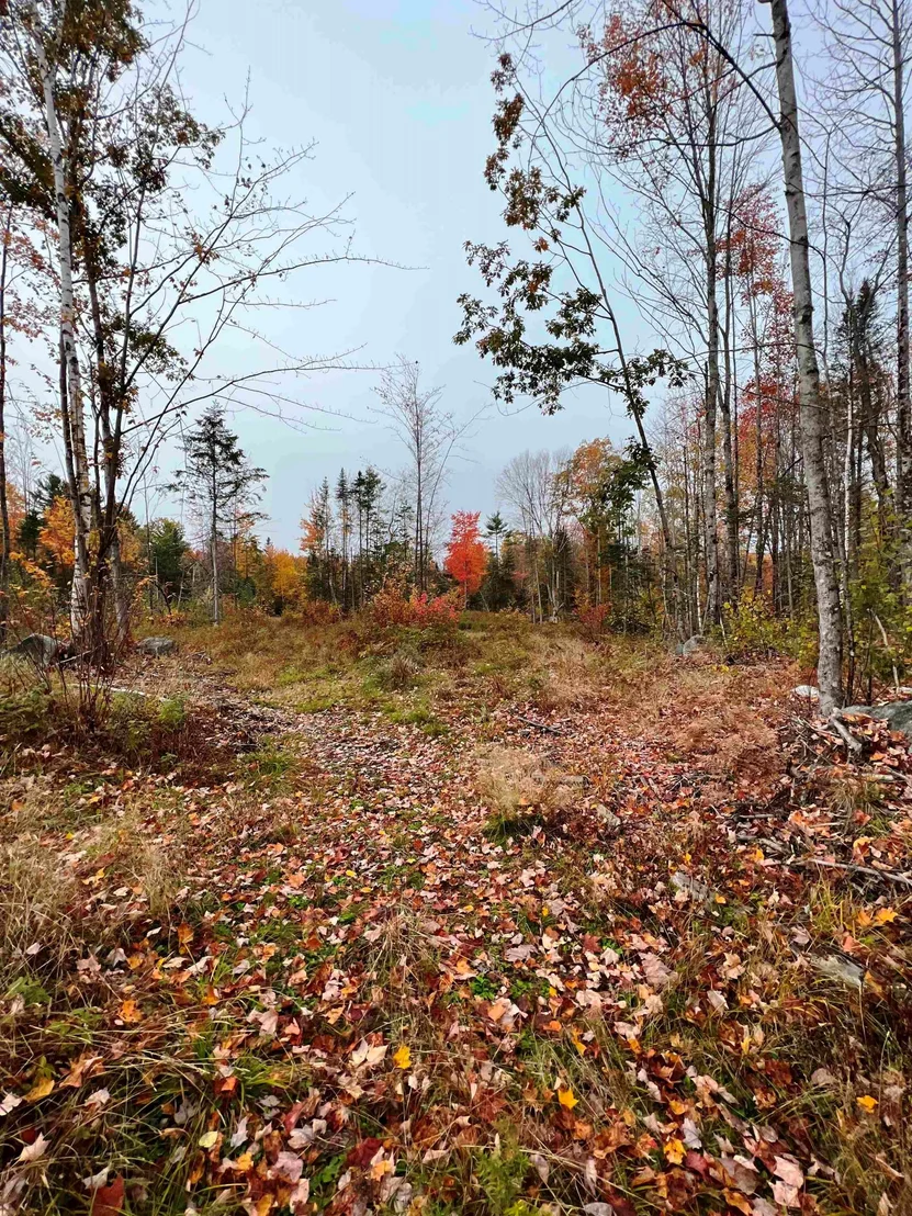 Photo of 408-105 Evergreen