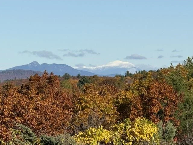 Photo of 36 Blueberry Hill