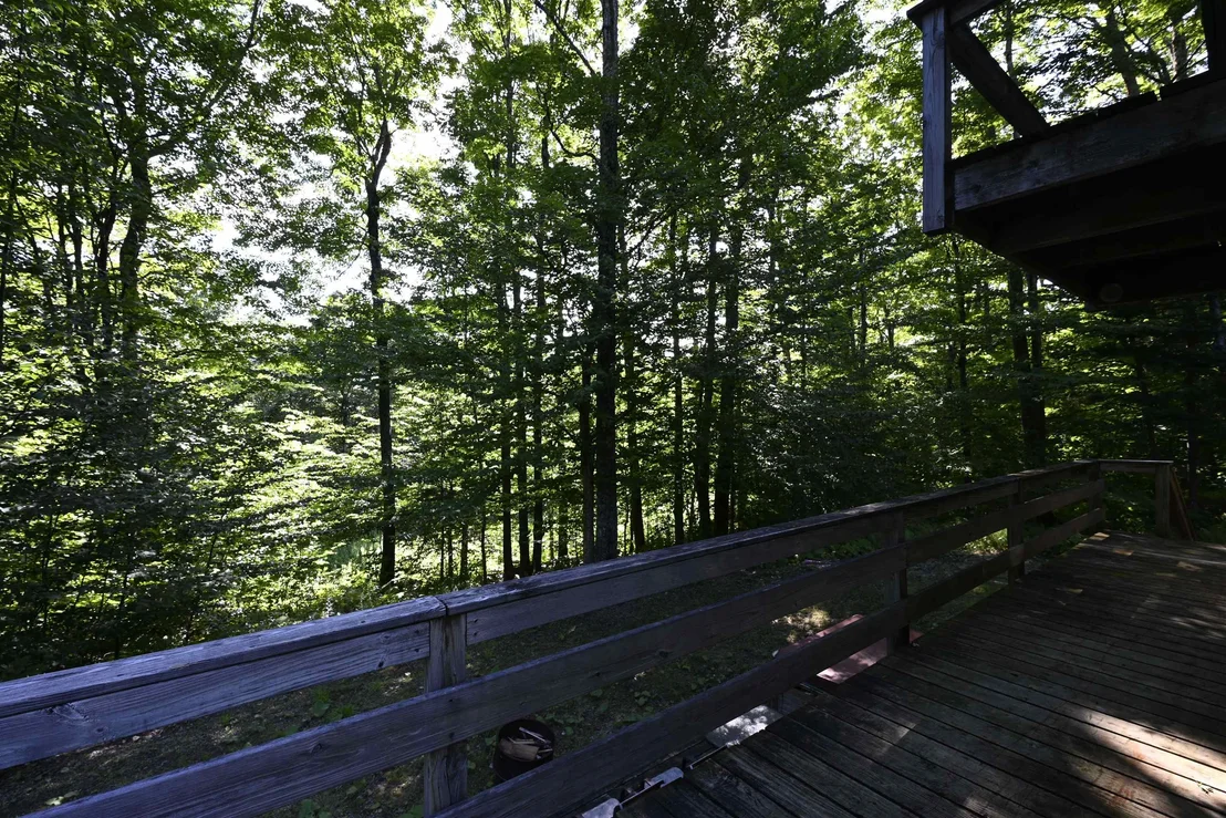 Photo of 393 Tanglewood