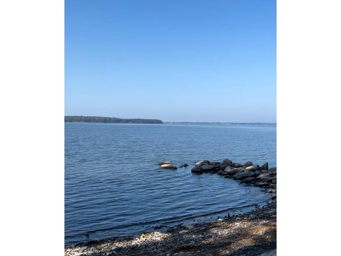 Photo of 244 Tranquility