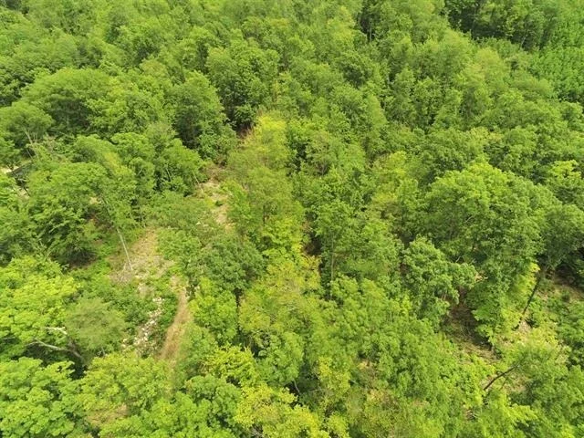 Photo of 000 Upper Plains