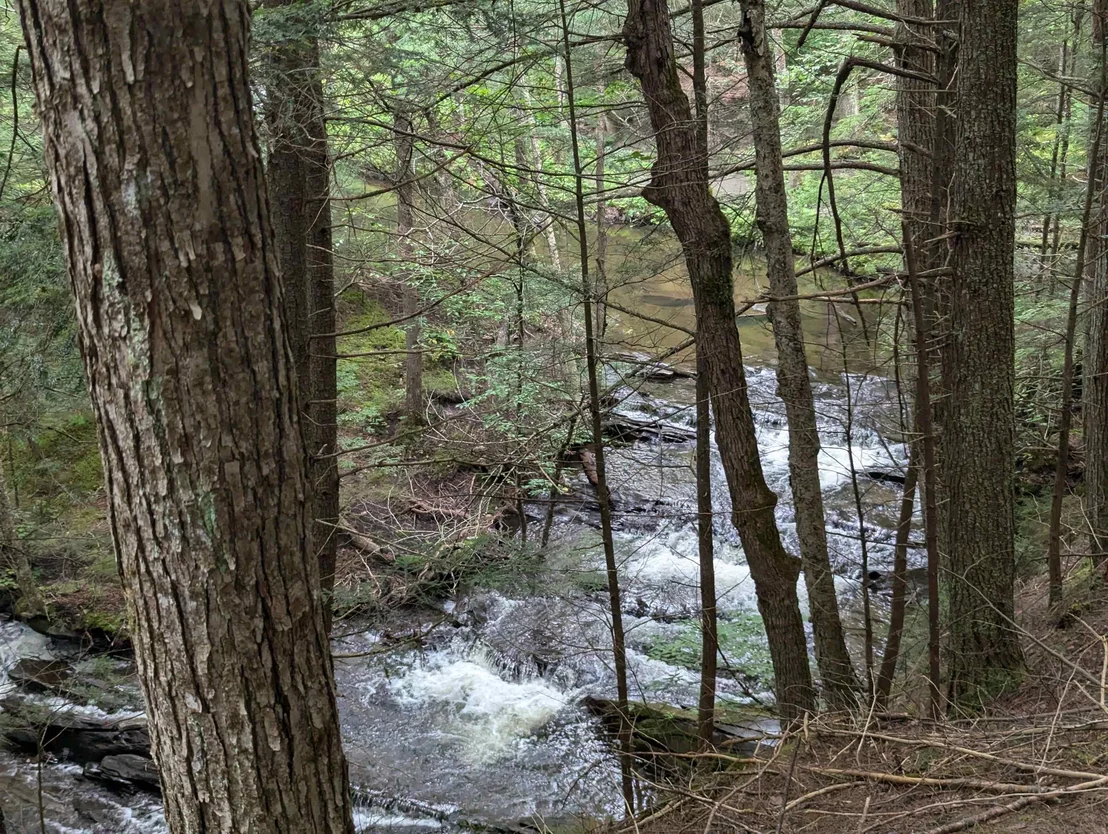 Photo of 187 East Hill