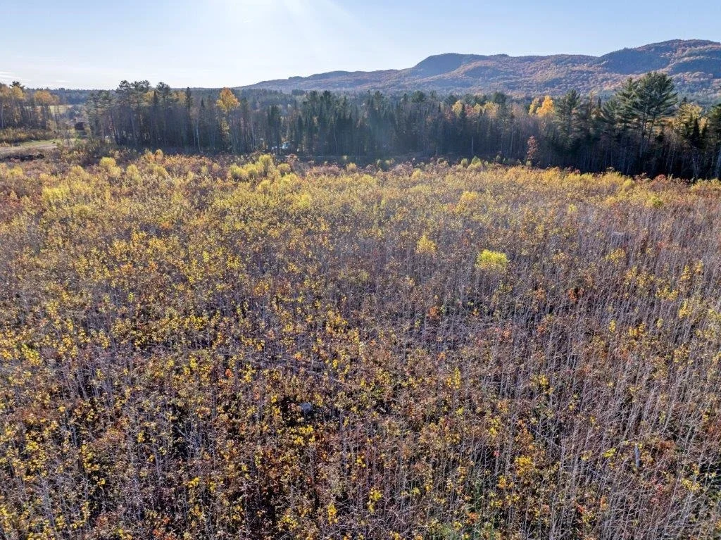 Photo of Lot 4 McIntyre