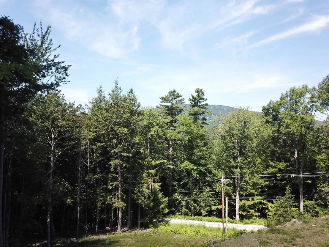 Photo of 228 Town Farm