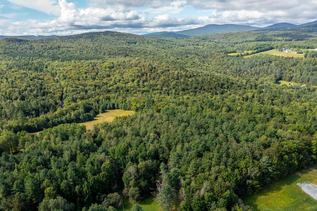 Photo of Lot #4 Meadow