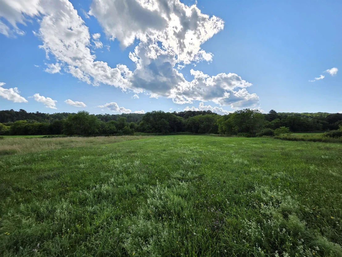 Photo of Lot#2 Gilman