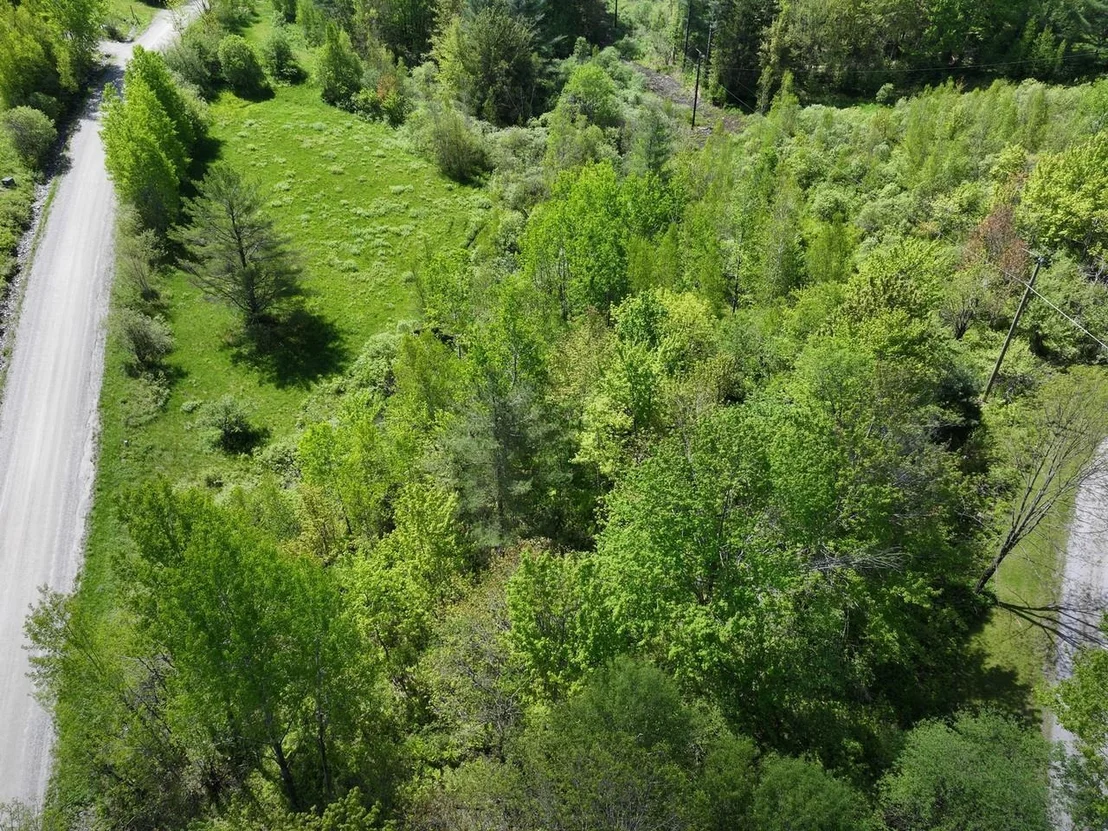 Photo of Lot 4 Weaver