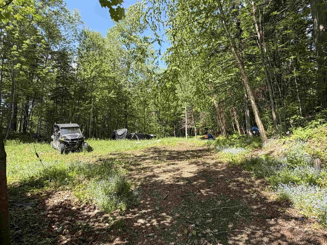 Photo of 7 Pine