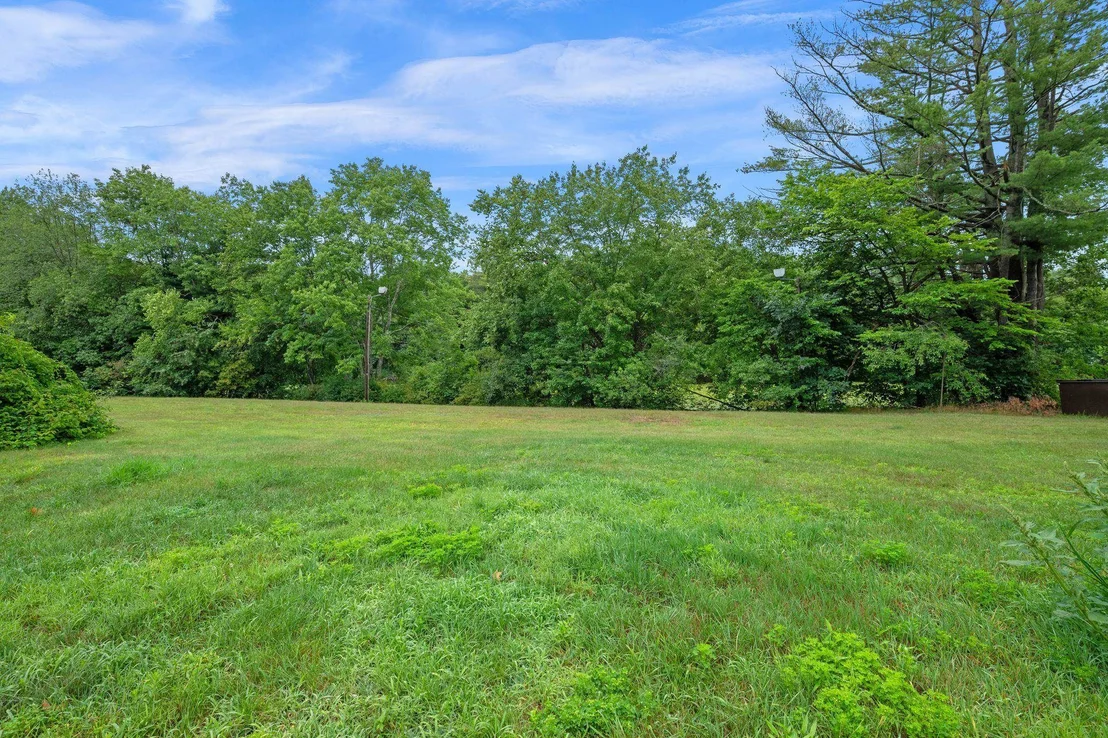 Photo of 6 Marsh