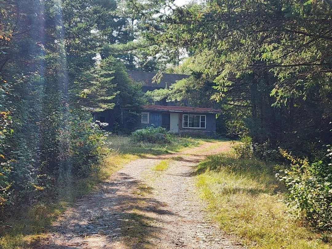 Photo of 24 Pine