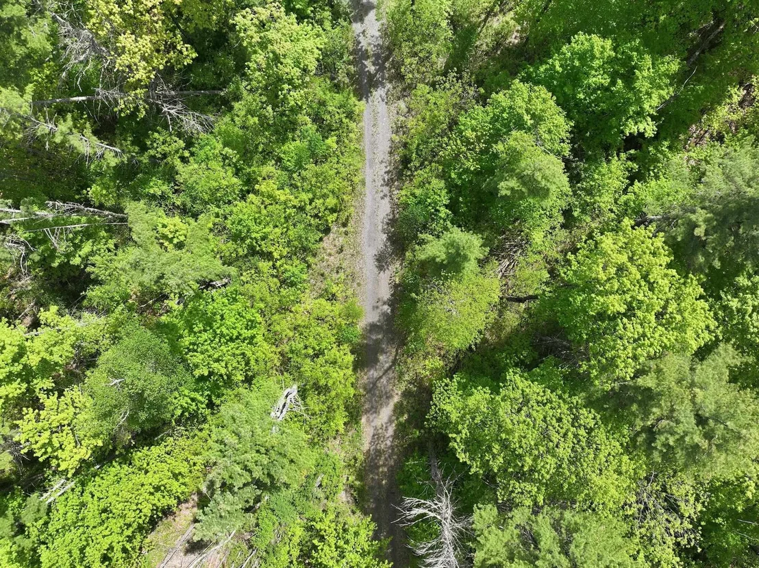 Photo of 189 Shagbark