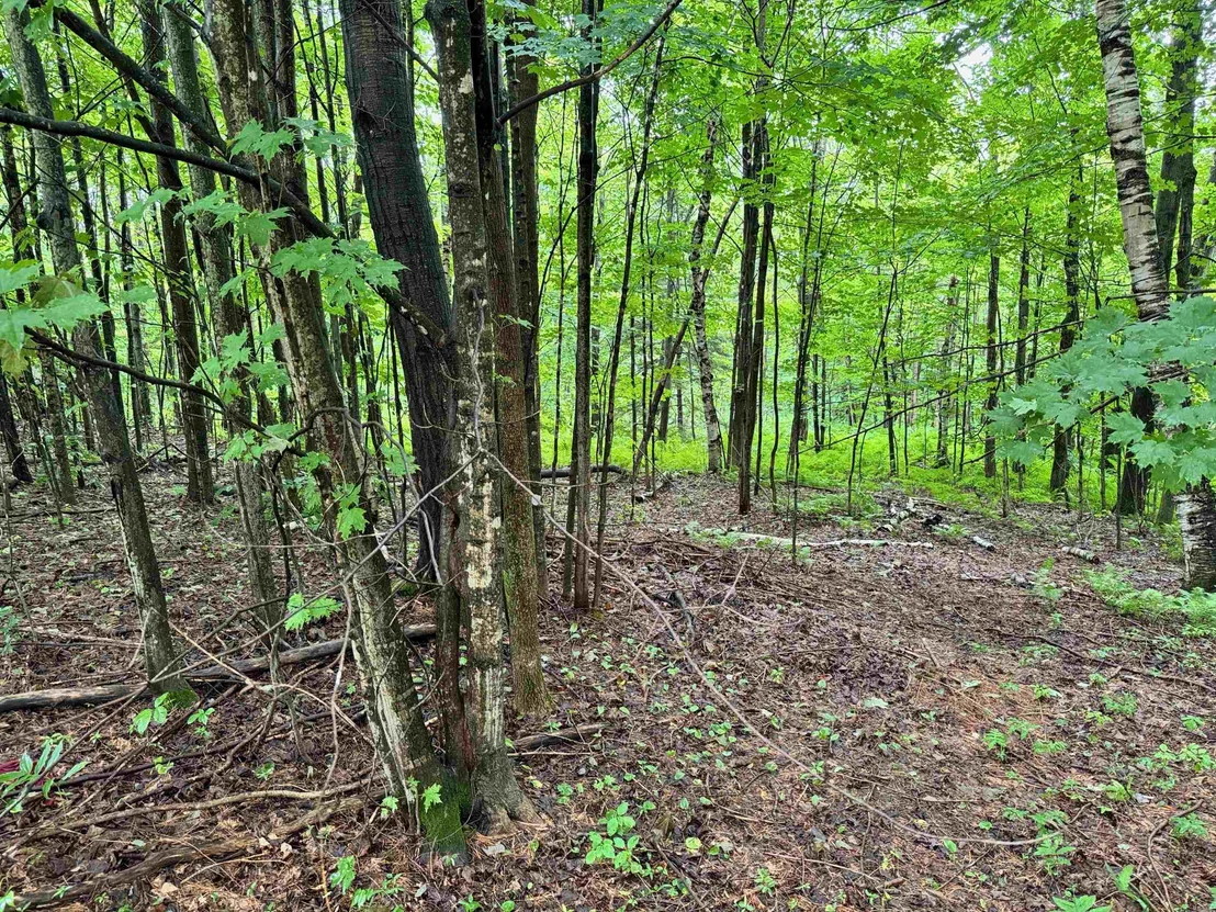 Photo of Unit LOT6R at 00 Morin