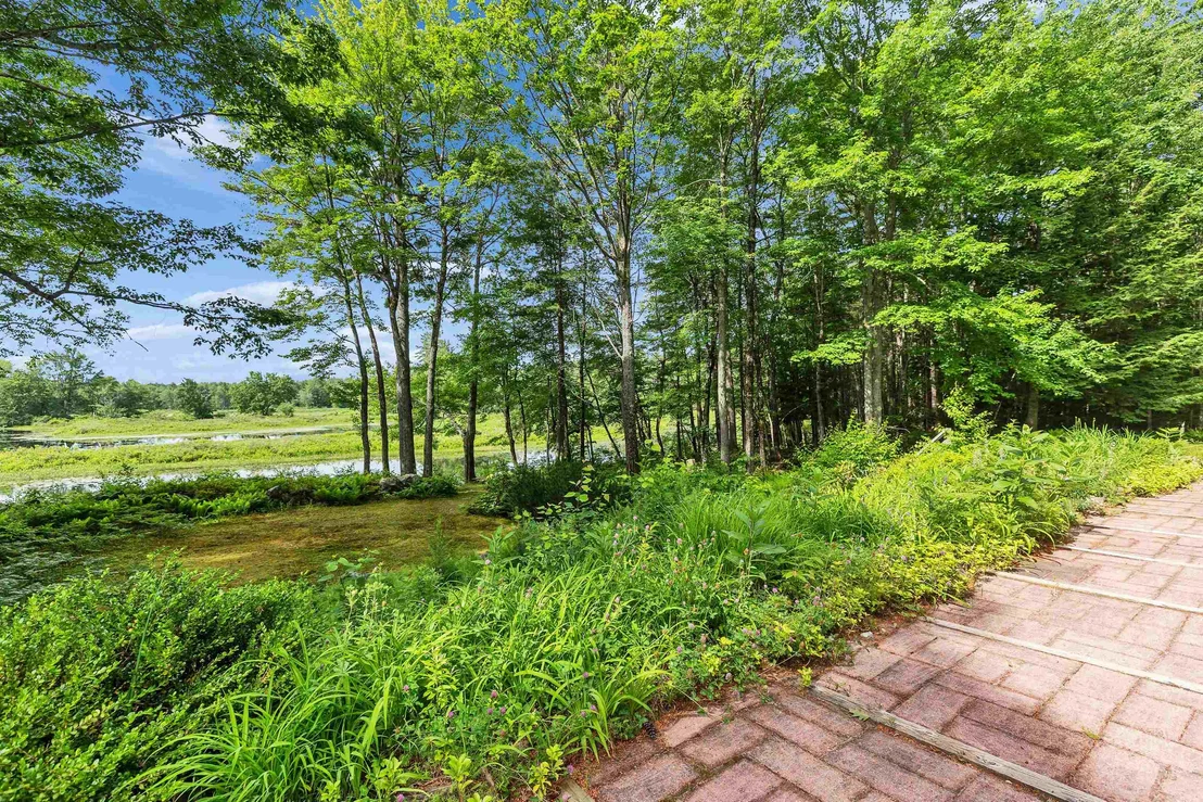 Photo of 261 Forest