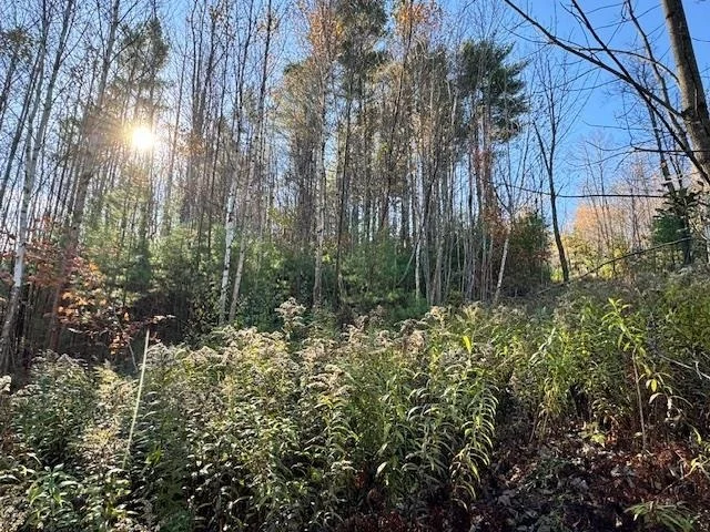 Photo of 0 Route 132