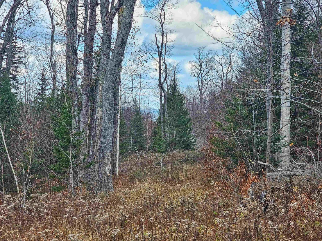 Photo of 706 VT Route 100