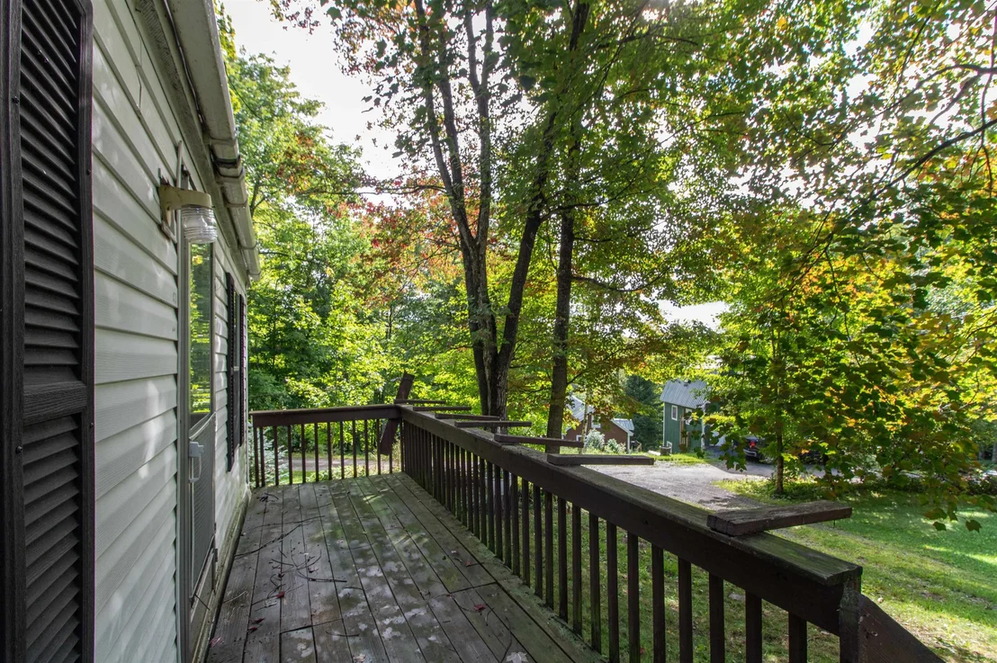 Photo of 62 Maple Tree