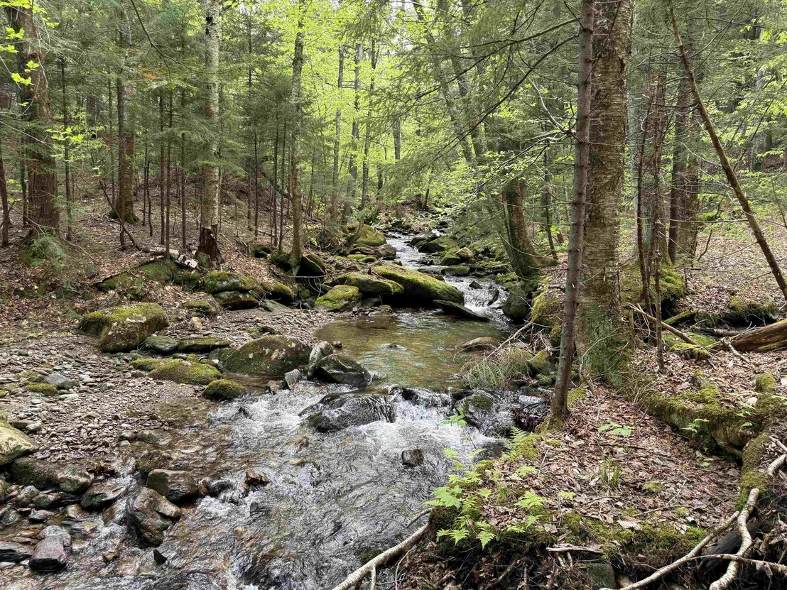 Photo of 87 Mirror Lake