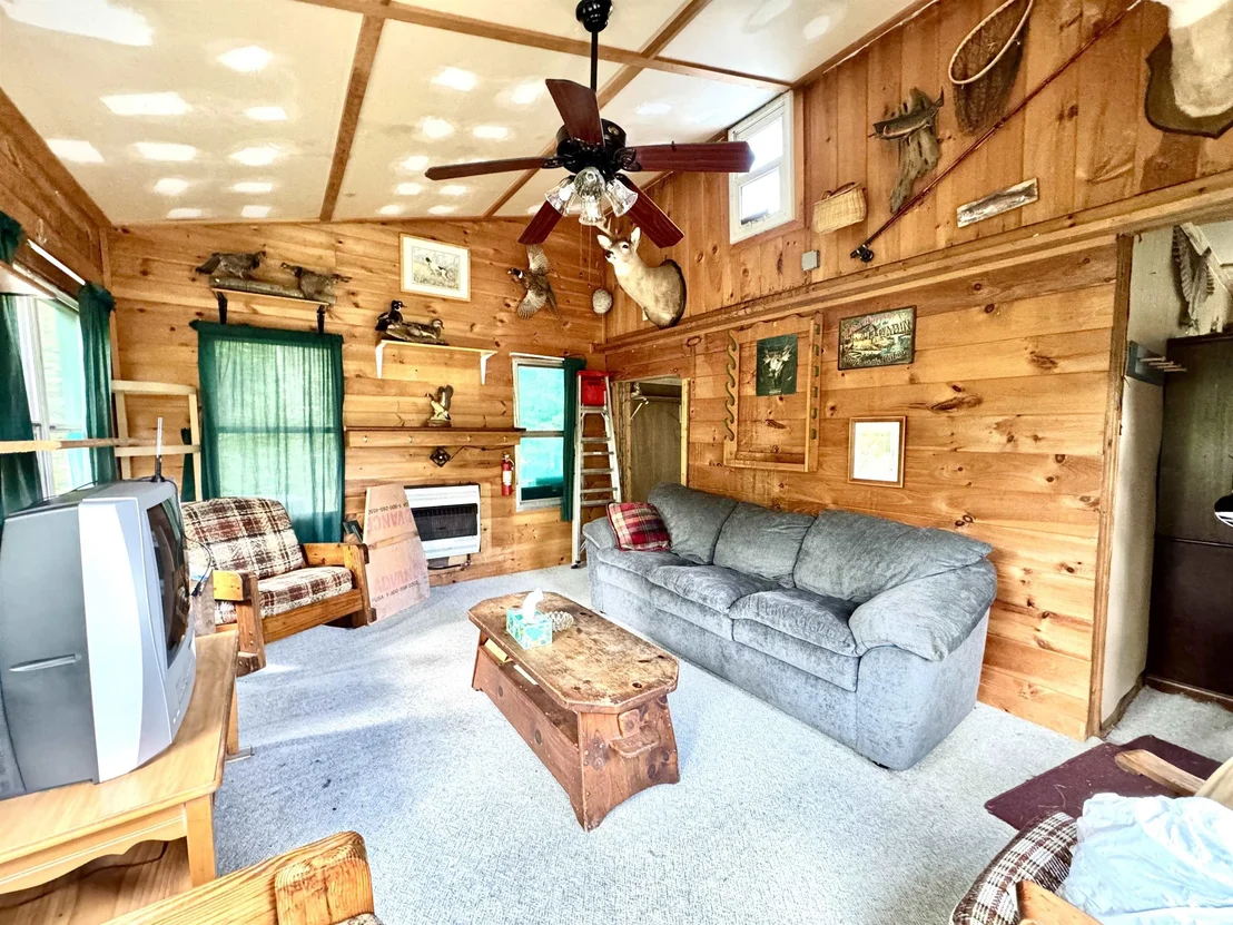 Photo of 63 Coos