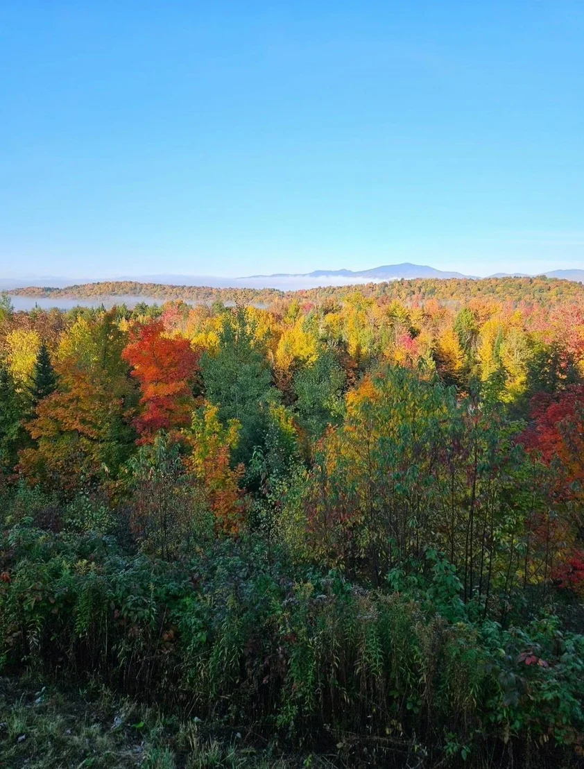 Photo of 532 Mountain Estates