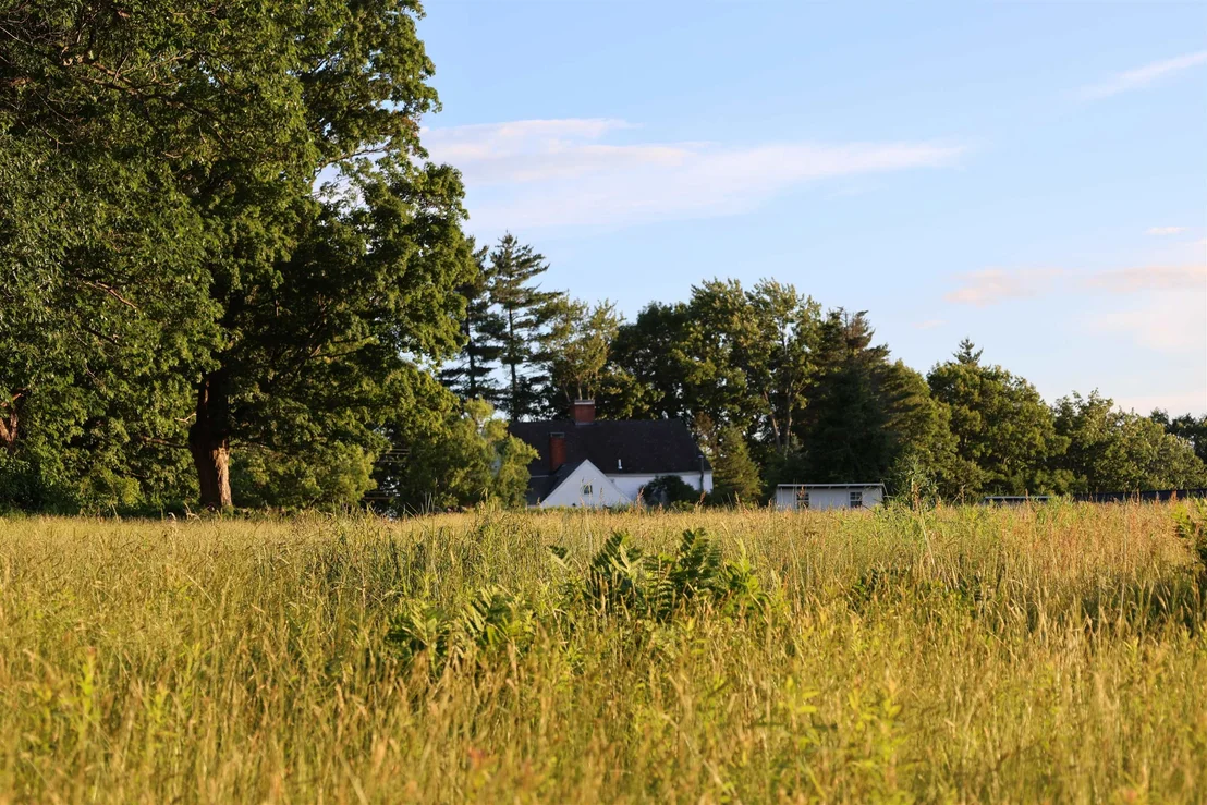 Photo of 235 Middle