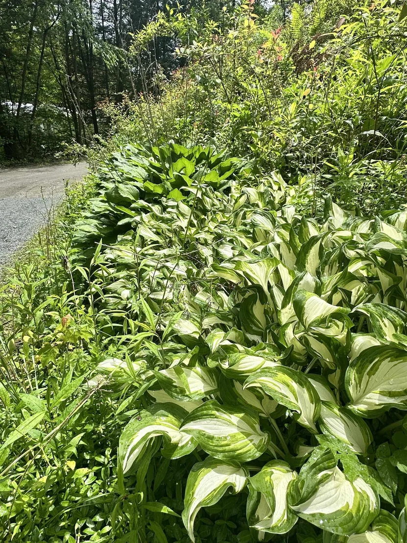 Photo of 4 Reservoir