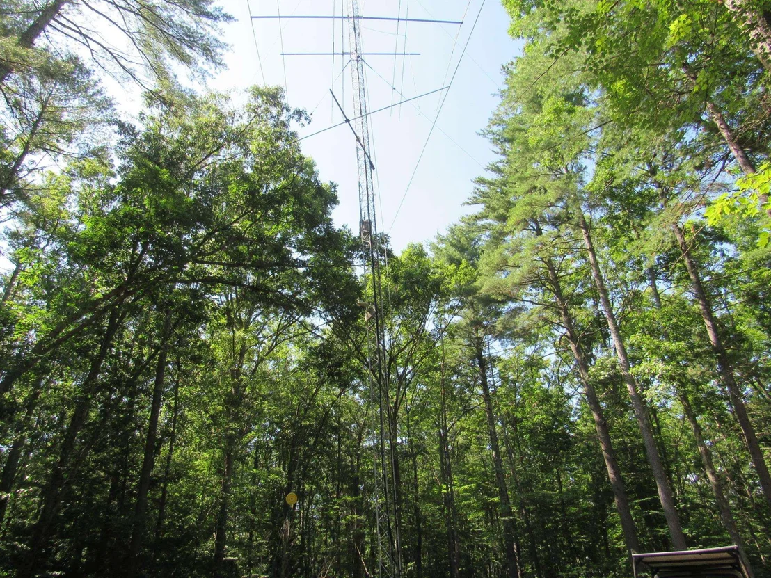Photo of 86 Wire