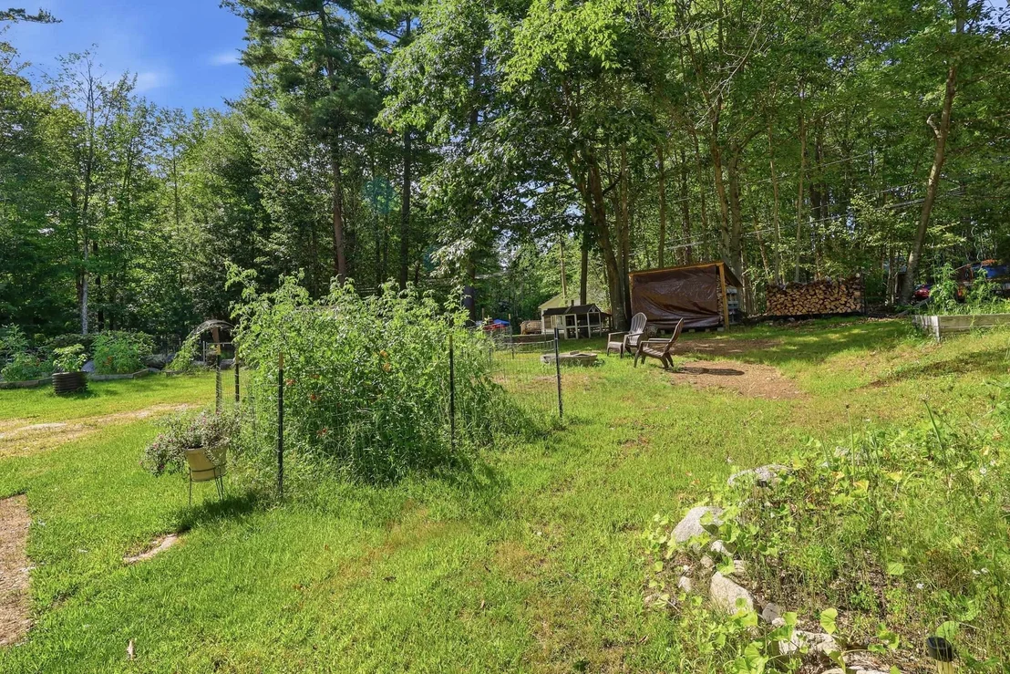Photo of 12 Pine