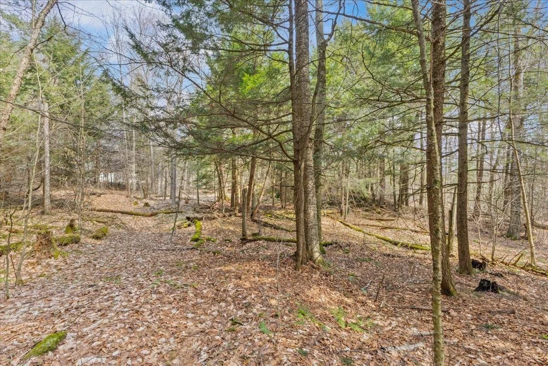 Photo of Lot 3 Hemlock