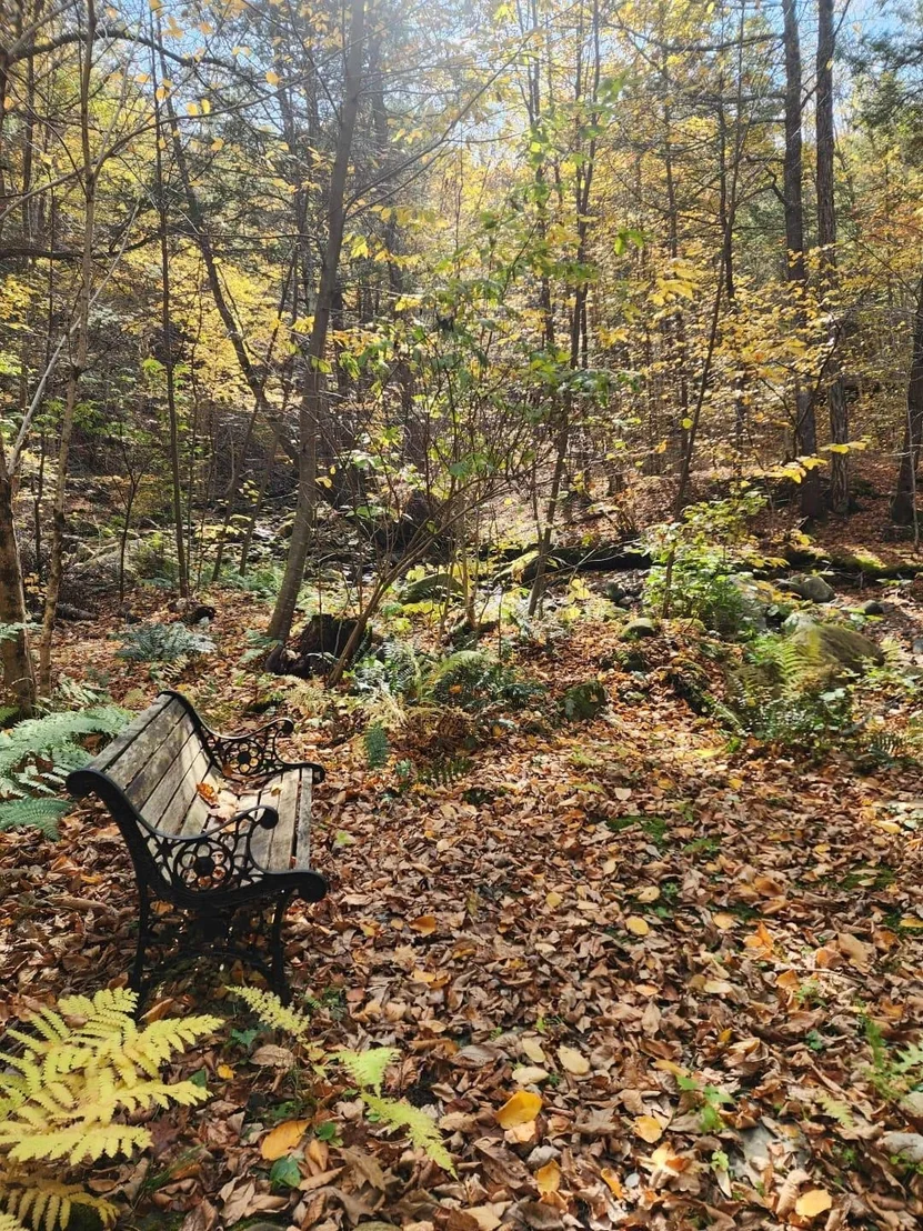 Photo of 183 Bear Hill